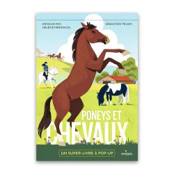 Poneys et cheveaux pop up