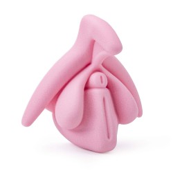 représentation 3D du clitoris en rose