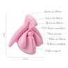 représentation 3D du clitoris en rose légendée