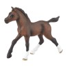 Poulain Arabe figurine Schleich