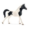 Etalon Pintabian figurine Schleich