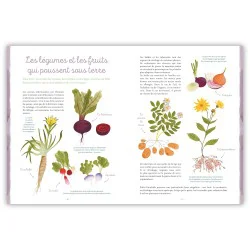 Tout savoir sur les fruits et les légumes