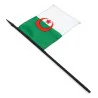 Drapeau Algérie