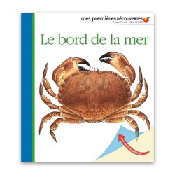 Le bord de la mer