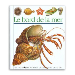 Le bord de la mer