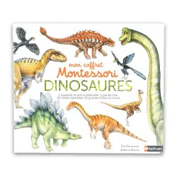 Mon coffret montessori : Les dinosaures