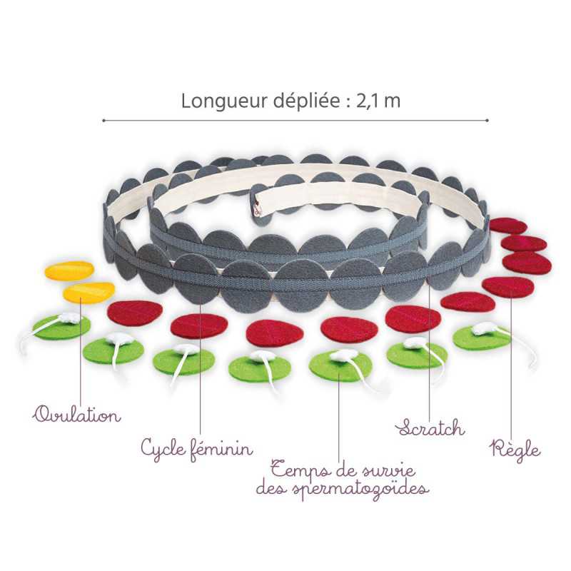 Location Modèle cycle féminin en feutrine 2,1m