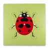 Puzzle Montessori : Coccinelle