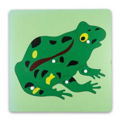 Puzzle Montessori : Grenouille