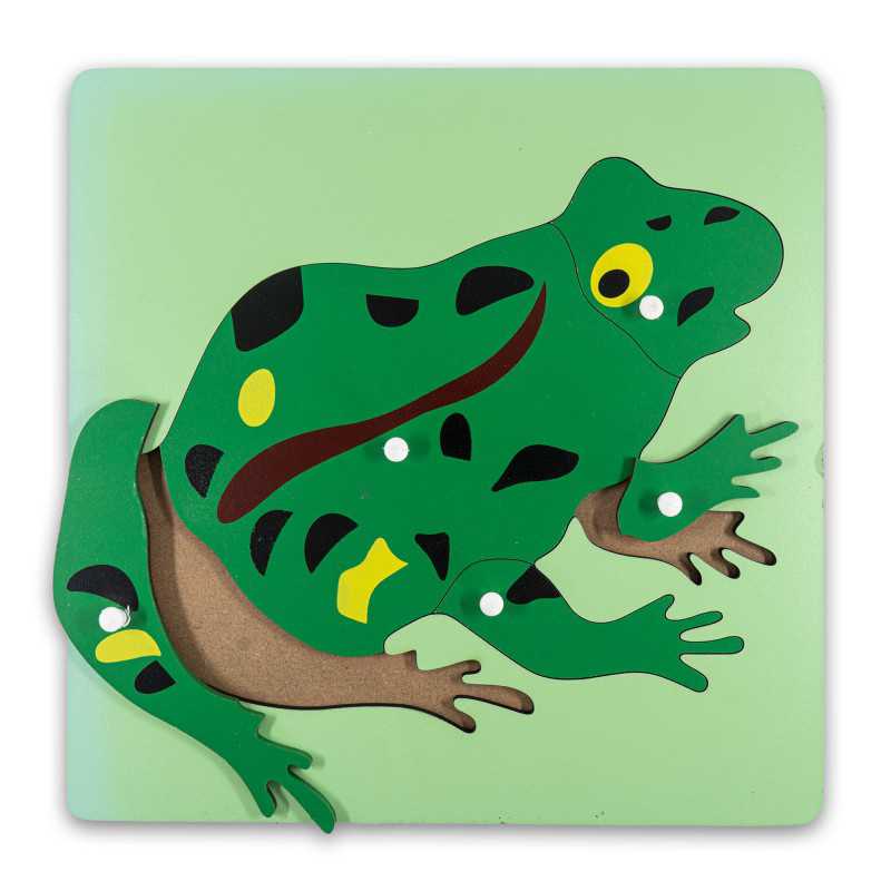 Puzzle Montessori : Grenouille