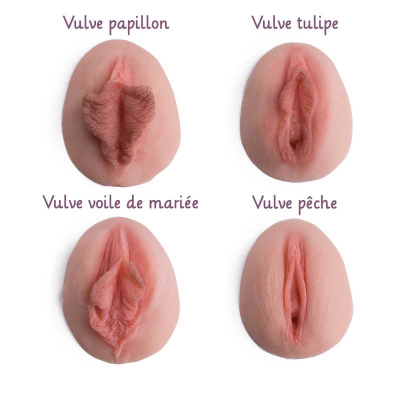 Lot de 4 vulves anatomiques en silicone