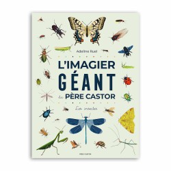 L'imagier géant du père castor - Les insectes