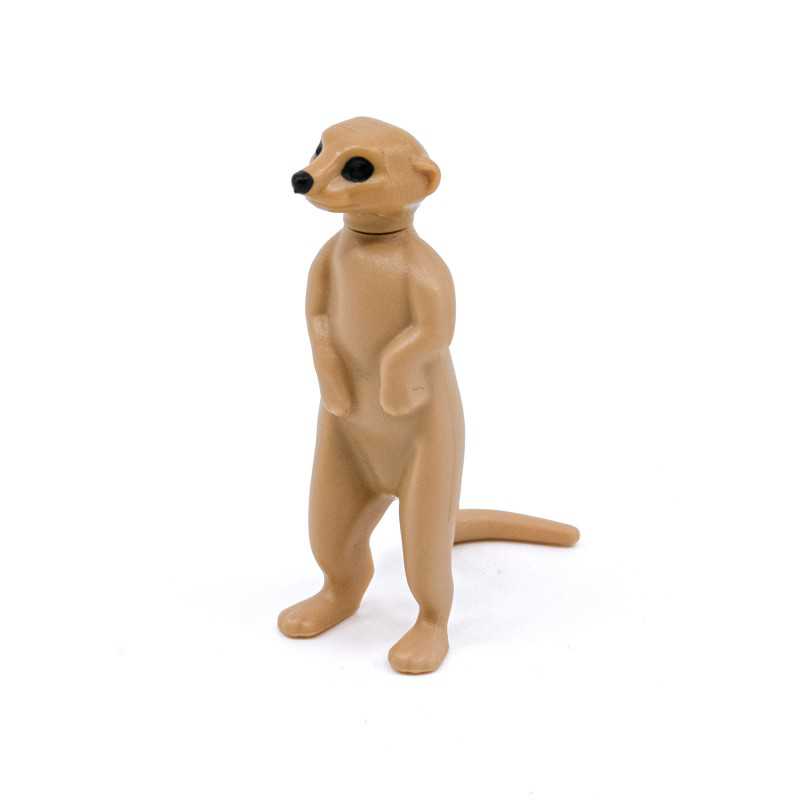 Suricate