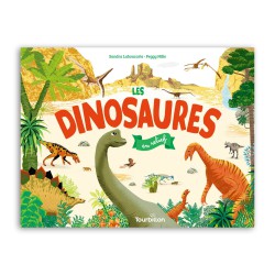 Les dinosaures en relief