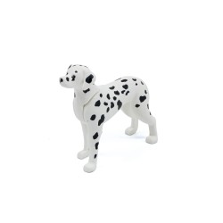 Chien : Dalmatien