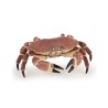 Crabe figurine Papo