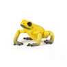 Grenouille équatoriale jaune figurine Papo