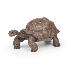 Tortue des galapagos figurine Papo